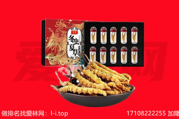 石河子市昆玉回收虫草.jpg
